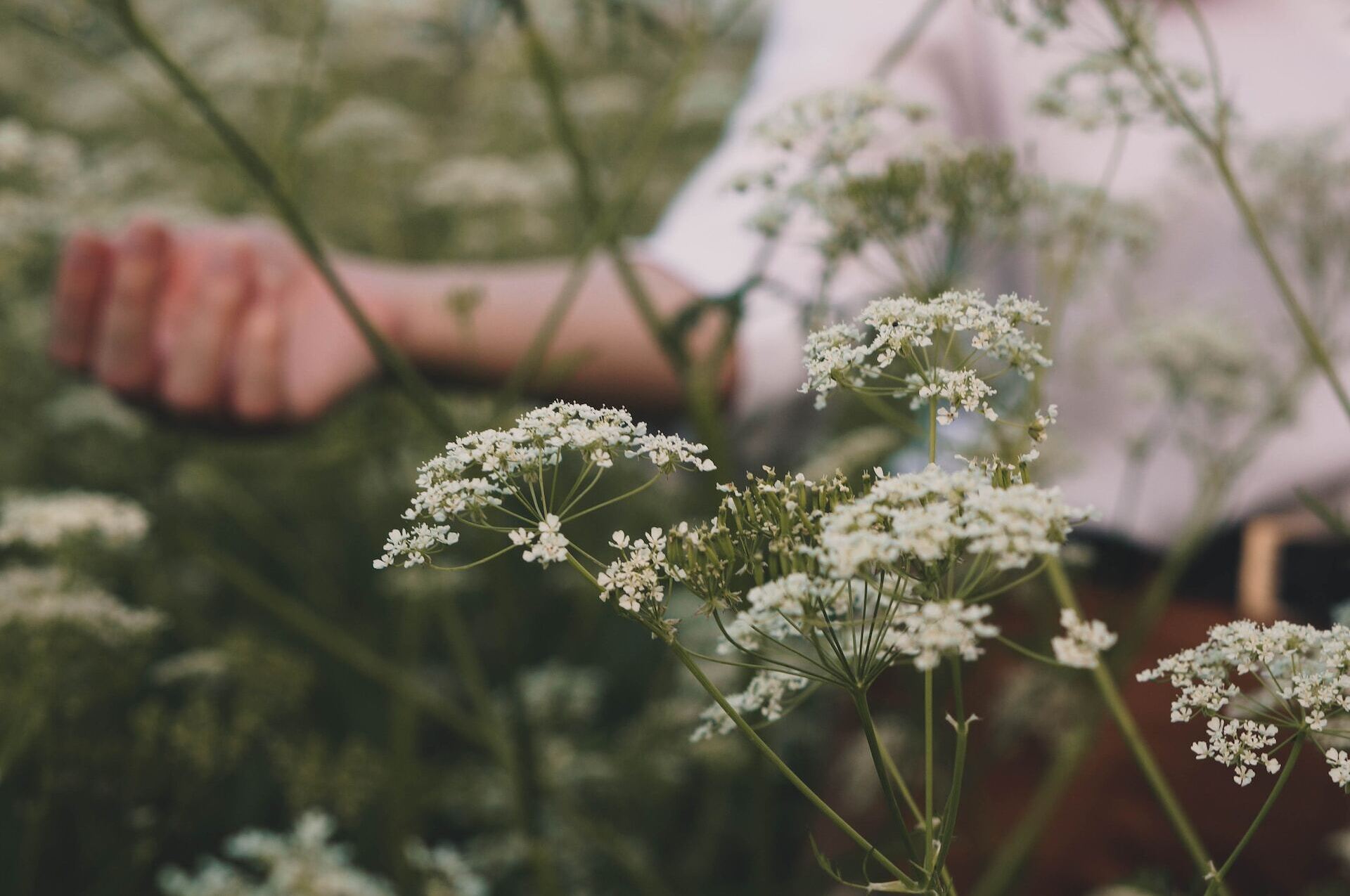 vrouw in een bloemenveld