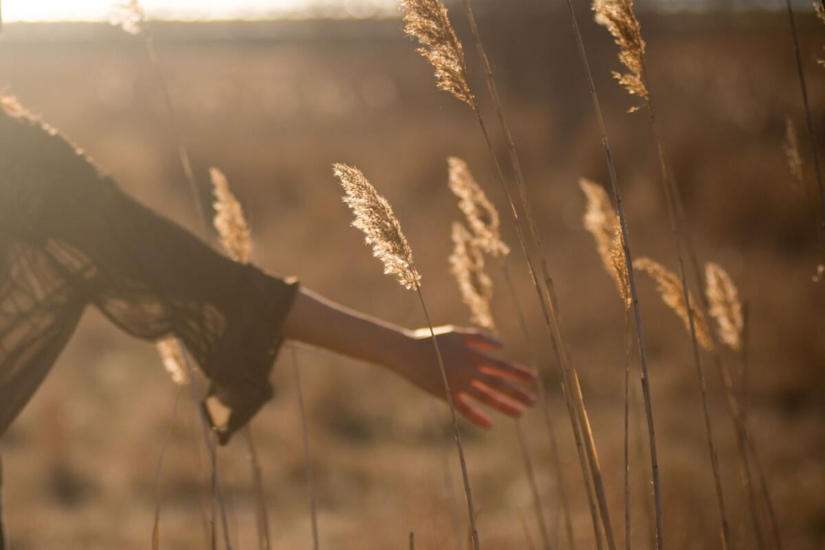 vrouw in een veld